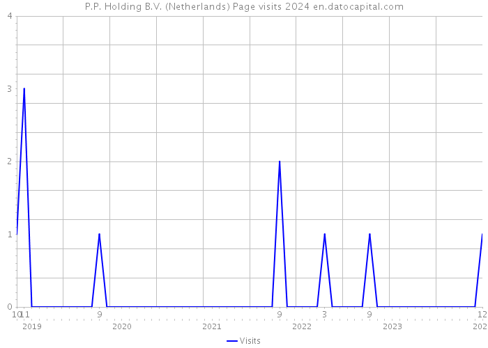 P.P. Holding B.V. (Netherlands) Page visits 2024 