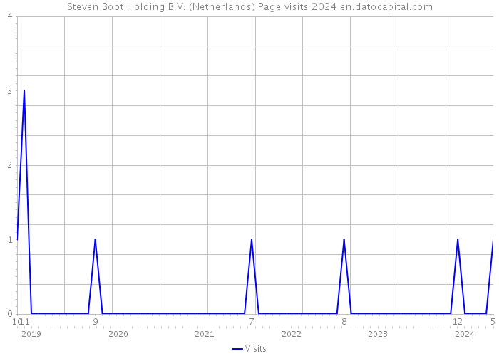 Steven Boot Holding B.V. (Netherlands) Page visits 2024 