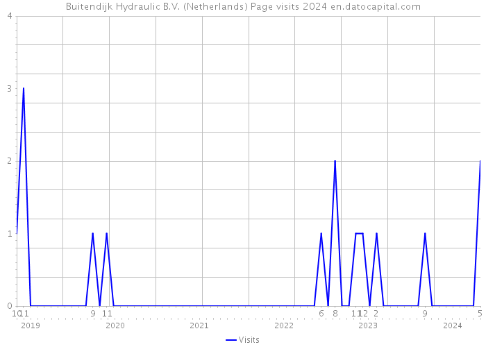Buitendijk Hydraulic B.V. (Netherlands) Page visits 2024 