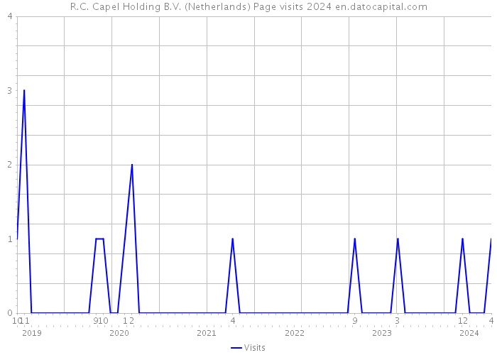 R.C. Capel Holding B.V. (Netherlands) Page visits 2024 