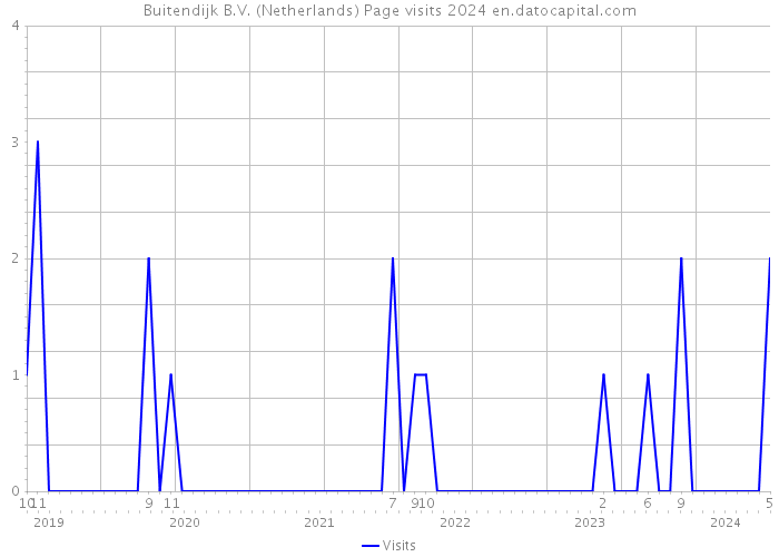 Buitendijk B.V. (Netherlands) Page visits 2024 