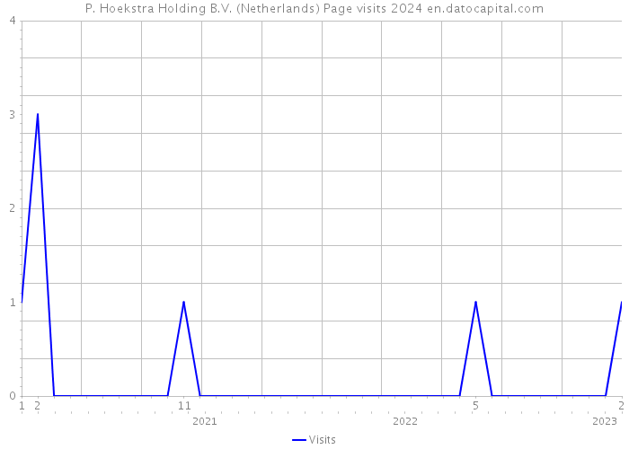 P. Hoekstra Holding B.V. (Netherlands) Page visits 2024 