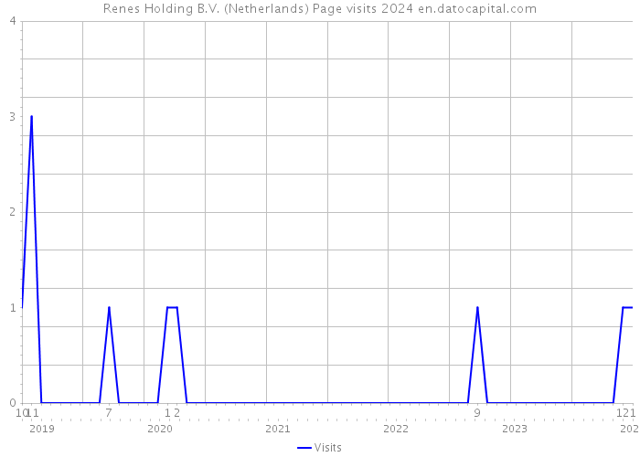 Renes Holding B.V. (Netherlands) Page visits 2024 