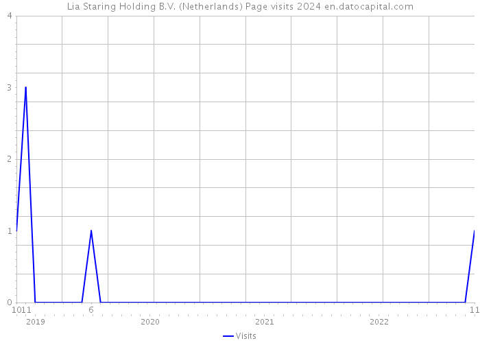 Lia Staring Holding B.V. (Netherlands) Page visits 2024 