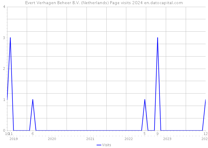 Evert Verhagen Beheer B.V. (Netherlands) Page visits 2024 