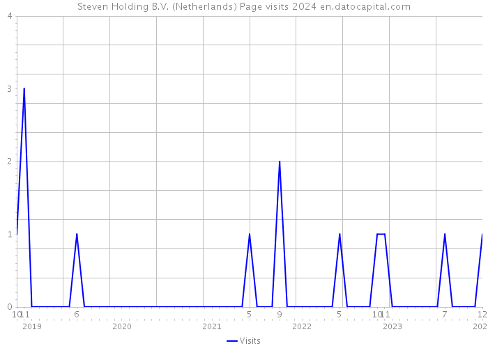 Steven Holding B.V. (Netherlands) Page visits 2024 