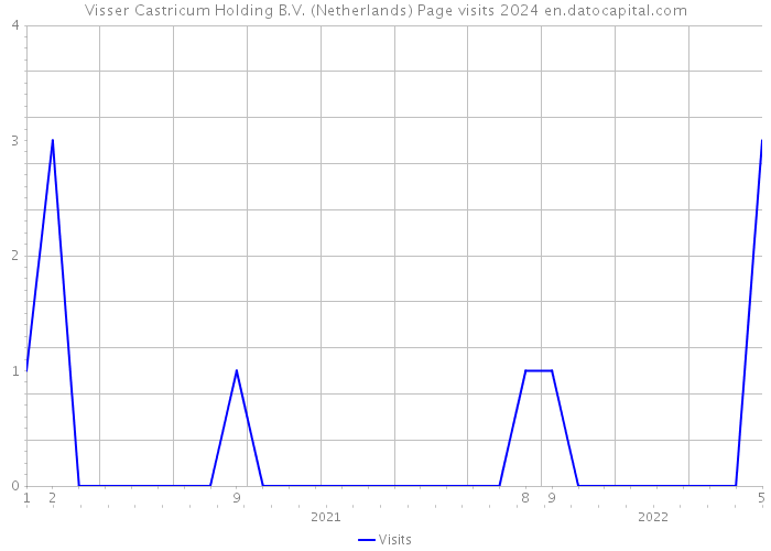 Visser Castricum Holding B.V. (Netherlands) Page visits 2024 