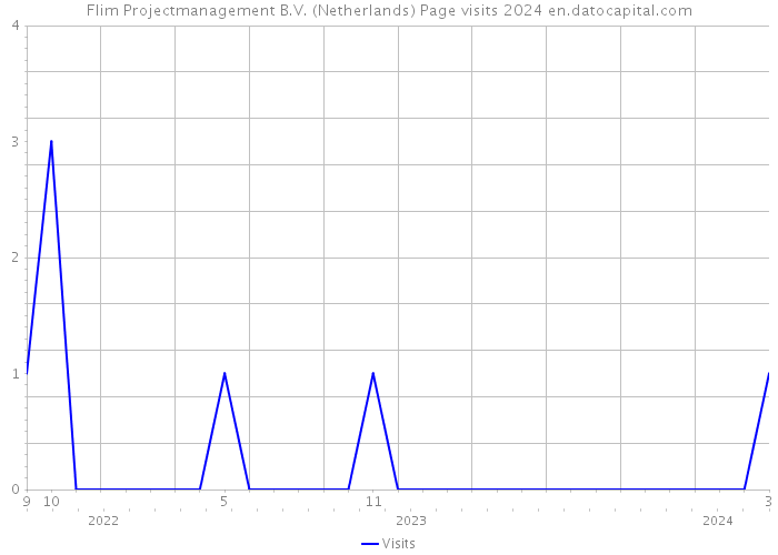 Flim Projectmanagement B.V. (Netherlands) Page visits 2024 