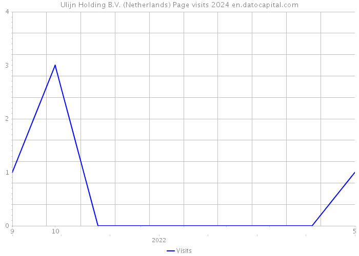 Ulijn Holding B.V. (Netherlands) Page visits 2024 