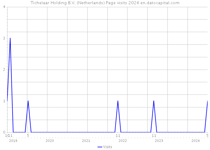Tichelaar Holding B.V. (Netherlands) Page visits 2024 