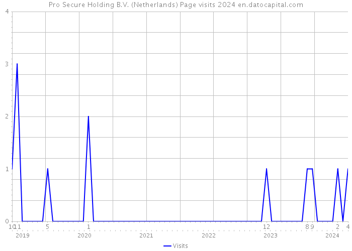 Pro Secure Holding B.V. (Netherlands) Page visits 2024 