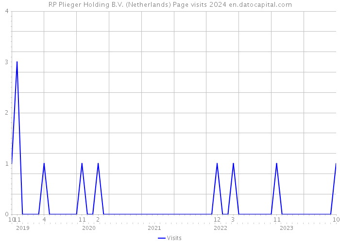 RP Plieger Holding B.V. (Netherlands) Page visits 2024 