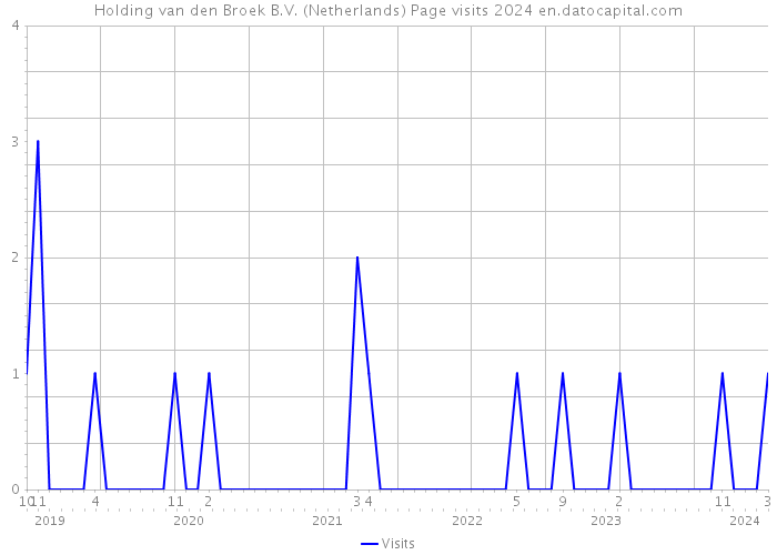 Holding van den Broek B.V. (Netherlands) Page visits 2024 