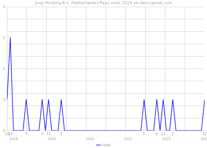 Joep Holding B.V. (Netherlands) Page visits 2024 