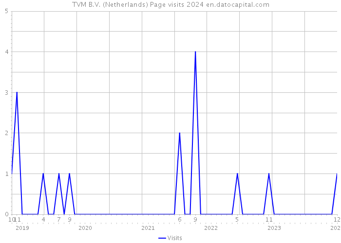 TVM B.V. (Netherlands) Page visits 2024 