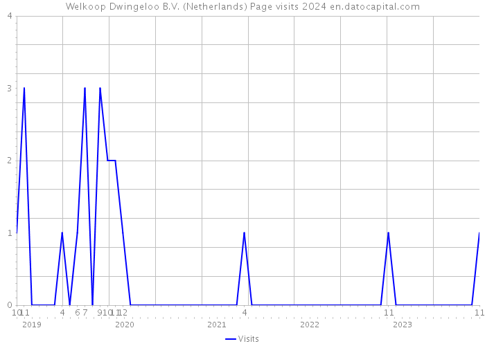 Welkoop Dwingeloo B.V. (Netherlands) Page visits 2024 