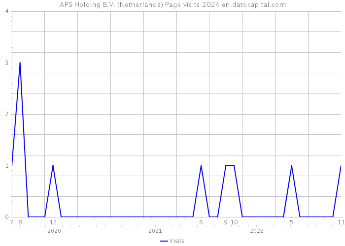 APS Holding B.V. (Netherlands) Page visits 2024 