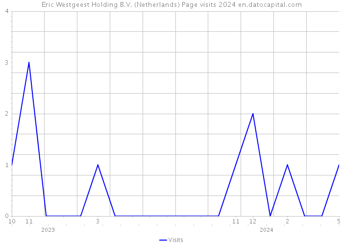 Eric Westgeest Holding B.V. (Netherlands) Page visits 2024 