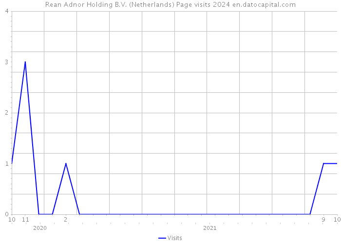 Rean Adnor Holding B.V. (Netherlands) Page visits 2024 