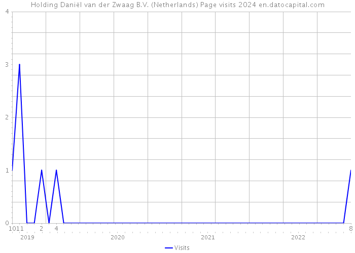 Holding Daniël van der Zwaag B.V. (Netherlands) Page visits 2024 