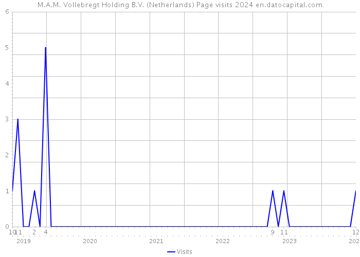 M.A.M. Vollebregt Holding B.V. (Netherlands) Page visits 2024 