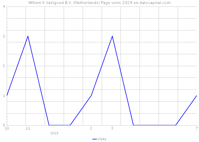 Willem II Vastgoed B.V. (Netherlands) Page visits 2024 