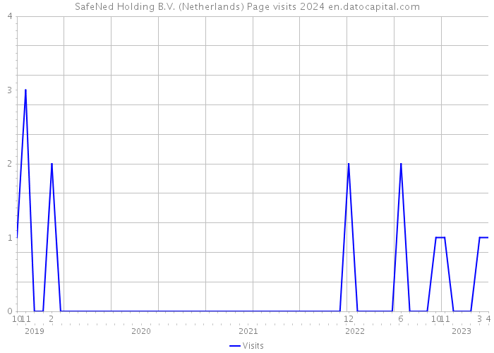 SafeNed Holding B.V. (Netherlands) Page visits 2024 