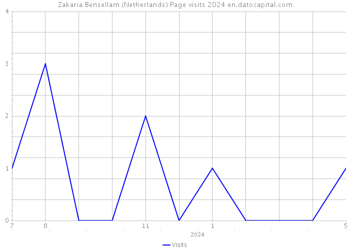 Zakaria Bensellam (Netherlands) Page visits 2024 