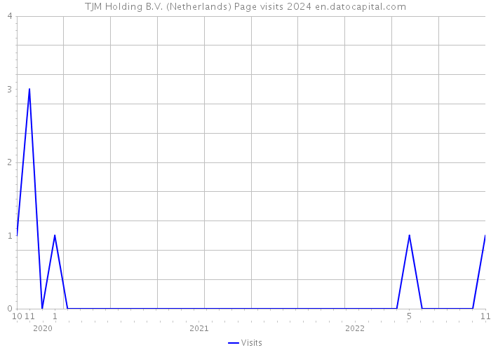 TJM Holding B.V. (Netherlands) Page visits 2024 