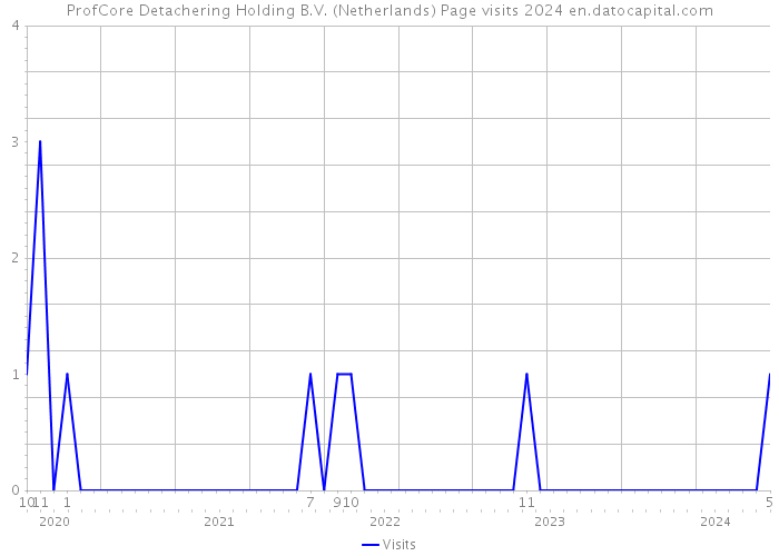 ProfCore Detachering Holding B.V. (Netherlands) Page visits 2024 
