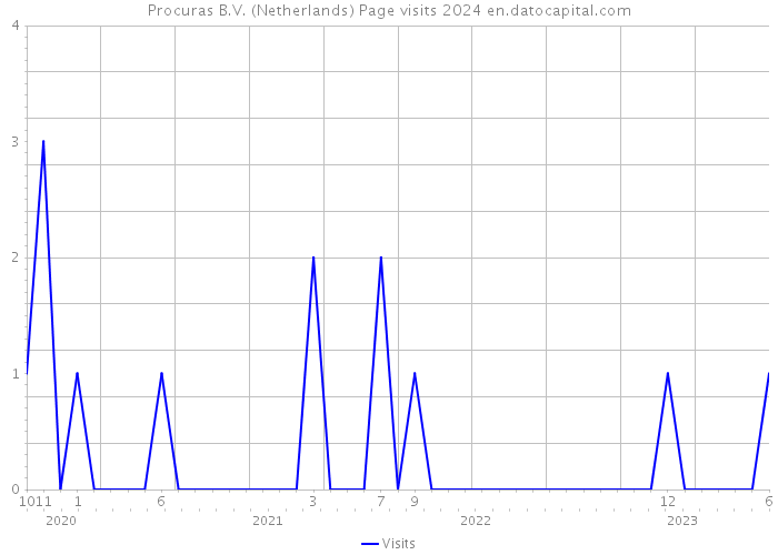 Procuras B.V. (Netherlands) Page visits 2024 