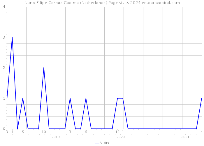 Nuno Filipe Carnaz Cadima (Netherlands) Page visits 2024 