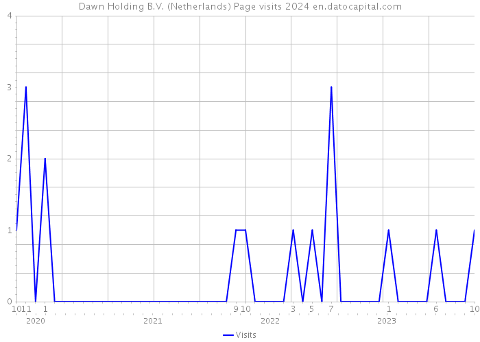 Dawn Holding B.V. (Netherlands) Page visits 2024 