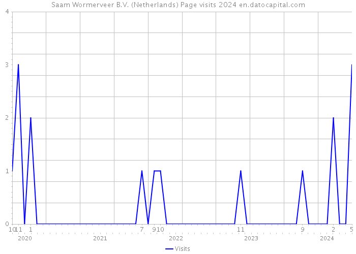 Saam Wormerveer B.V. (Netherlands) Page visits 2024 