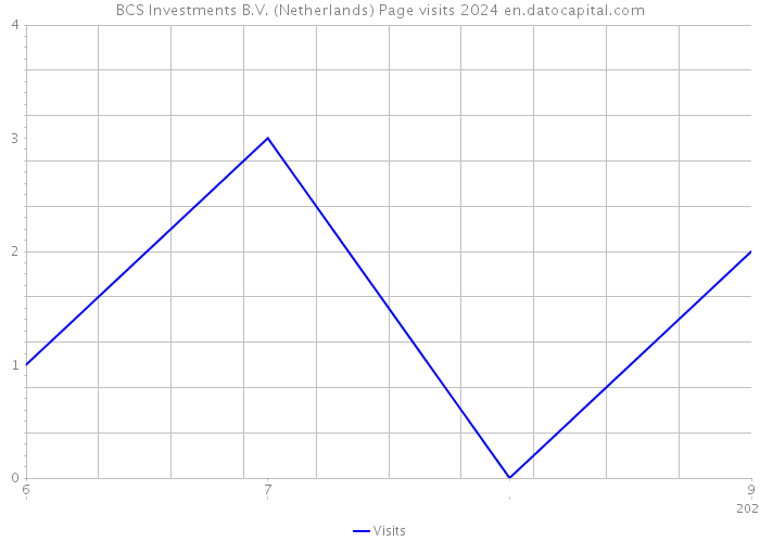 BCS Investments B.V. (Netherlands) Page visits 2024 