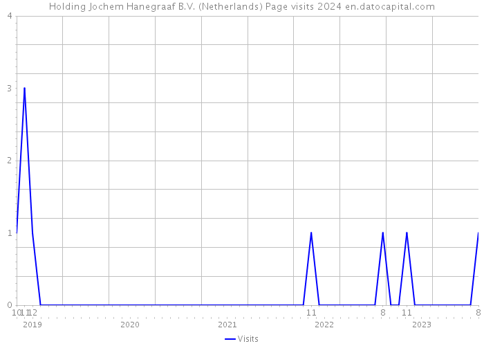 Holding Jochem Hanegraaf B.V. (Netherlands) Page visits 2024 