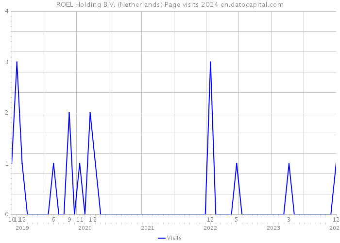 ROEL Holding B.V. (Netherlands) Page visits 2024 