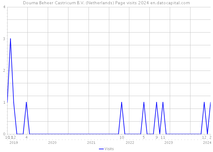 Douma Beheer Castricum B.V. (Netherlands) Page visits 2024 