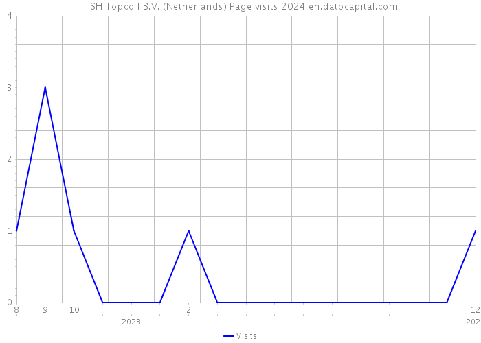 TSH Topco I B.V. (Netherlands) Page visits 2024 