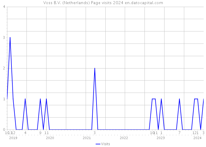 Voss B.V. (Netherlands) Page visits 2024 