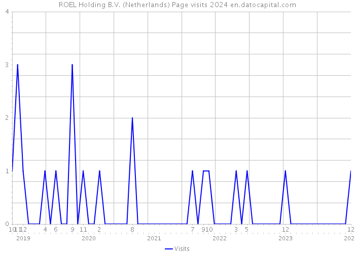 ROEL Holding B.V. (Netherlands) Page visits 2024 
