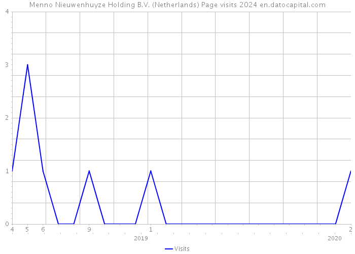 Menno Nieuwenhuyze Holding B.V. (Netherlands) Page visits 2024 