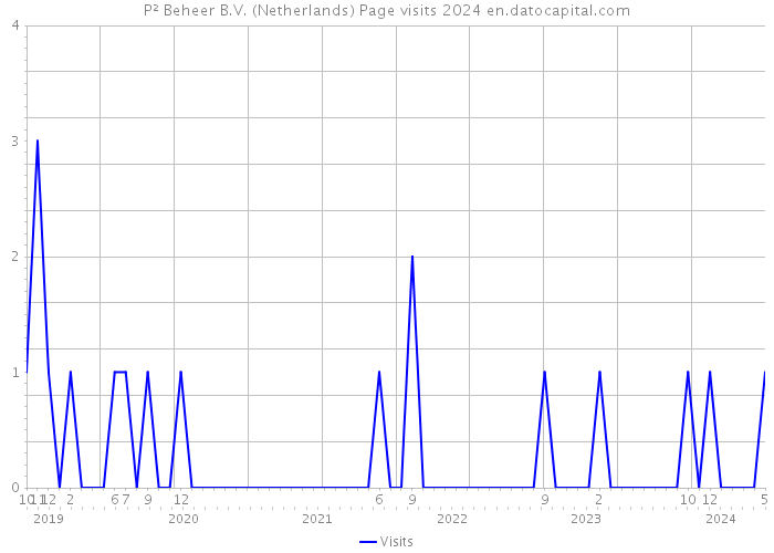P² Beheer B.V. (Netherlands) Page visits 2024 