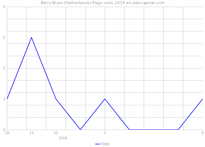 Barry Bruin (Netherlands) Page visits 2024 