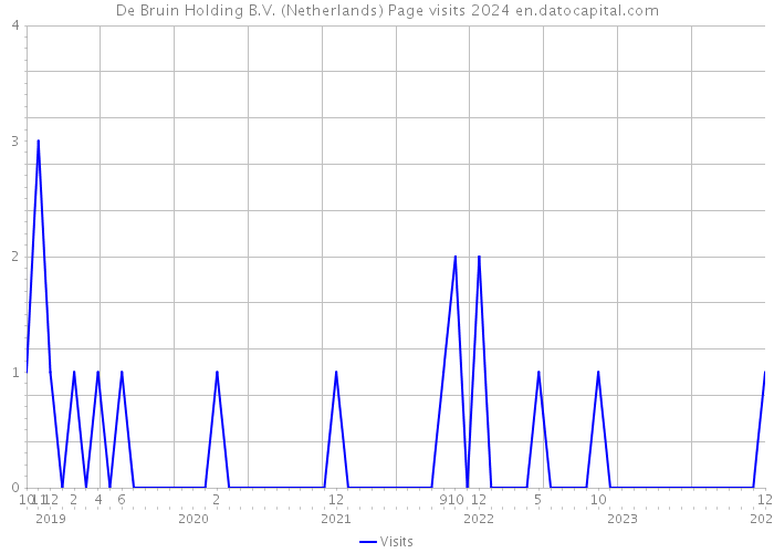 De Bruin Holding B.V. (Netherlands) Page visits 2024 