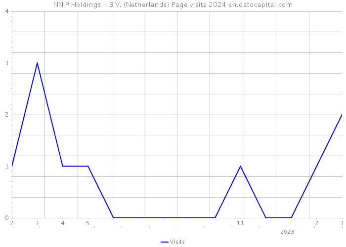 NNIP Holdings II B.V. (Netherlands) Page visits 2024 