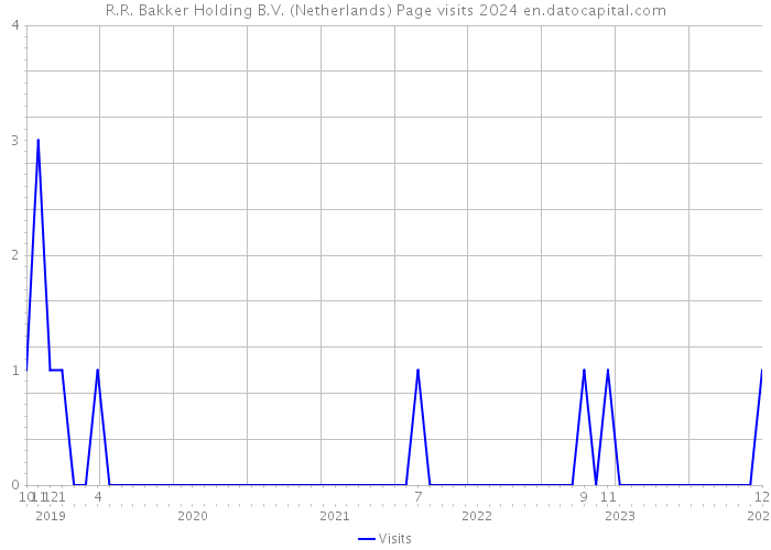 R.R. Bakker Holding B.V. (Netherlands) Page visits 2024 