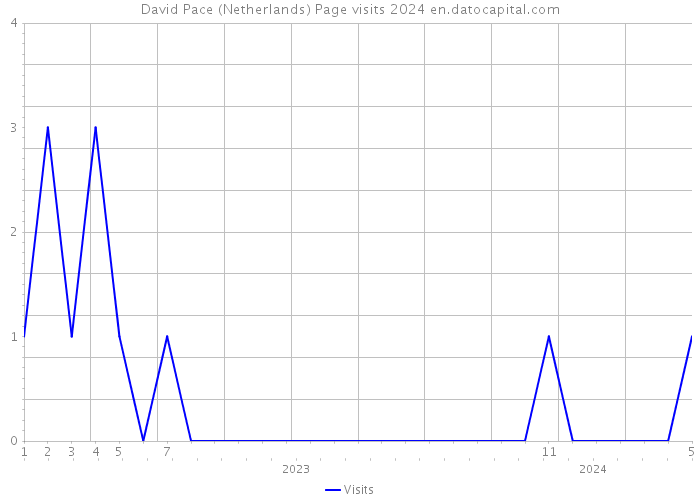 David Pace (Netherlands) Page visits 2024 