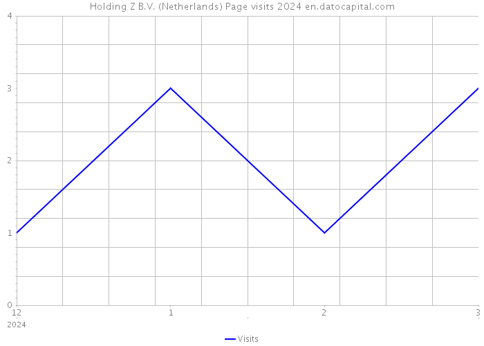 Holding Z B.V. (Netherlands) Page visits 2024 