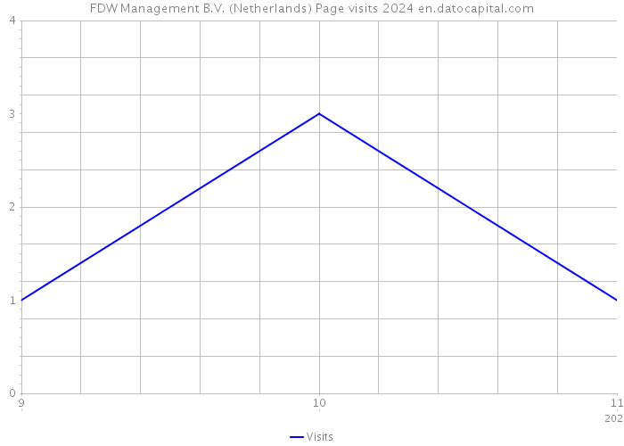 FDW Management B.V. (Netherlands) Page visits 2024 